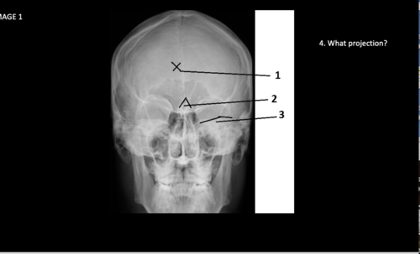 <p>What projection is this?</p>