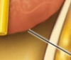 <p>what is this?</p>