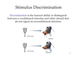 <p>stimulus discrimination</p>