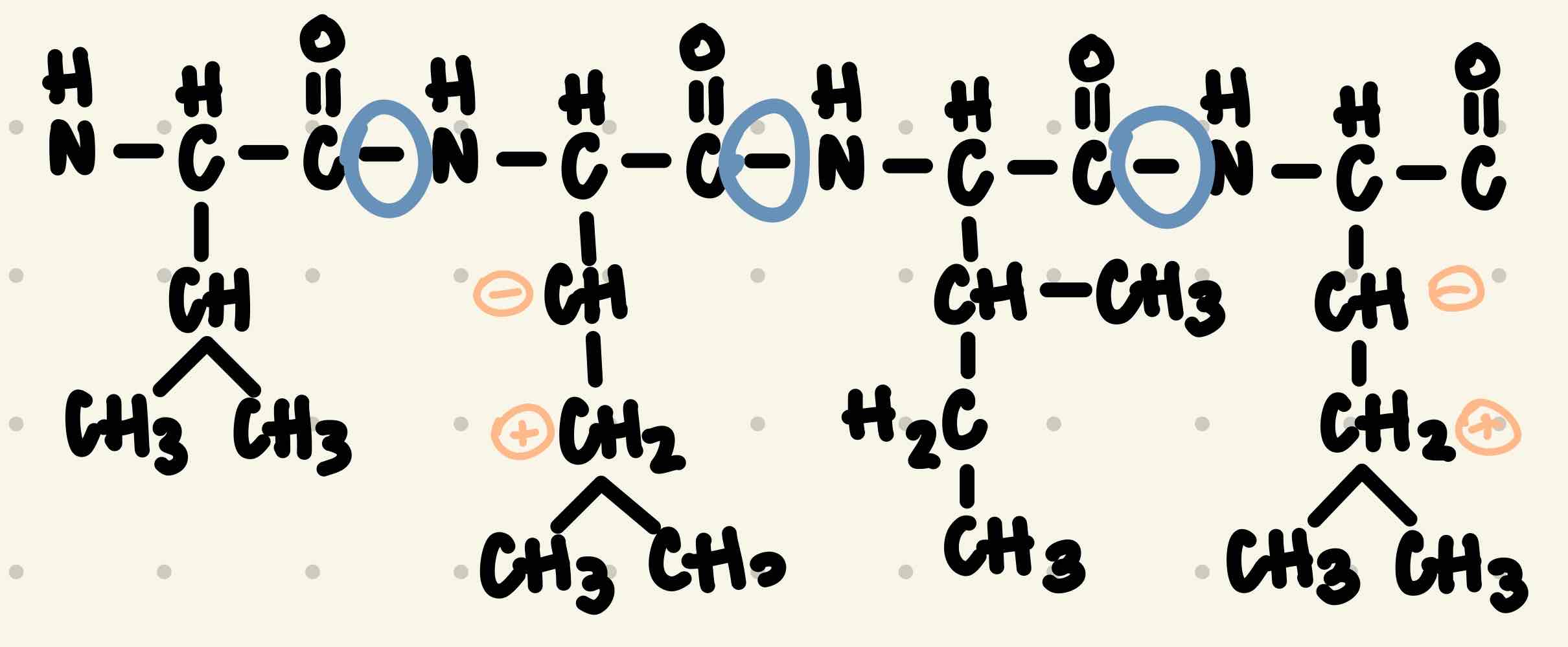 <p>(a) refer to image. </p><p>(b) Yes, it would because this particular structure is nonpolar in the R group, just like the cell membrane.</p><p>(c) No, because single beta strands can never advance the cell membranes, only beta barrels may. </p>