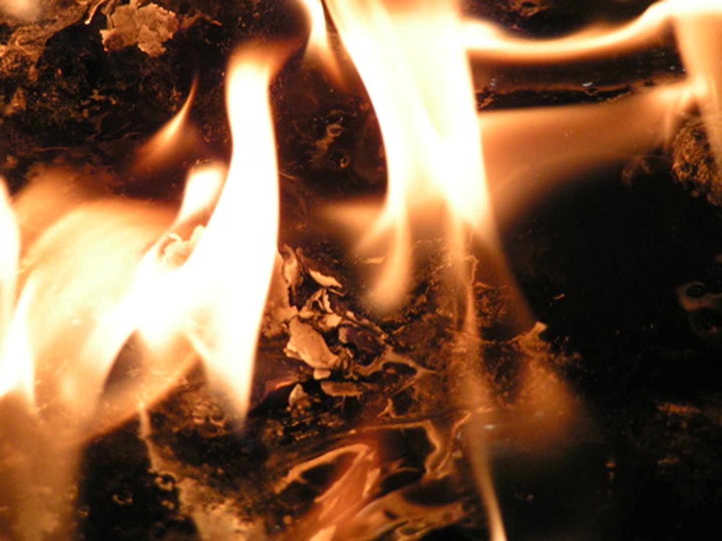 <p>(v) to burn to ashes</p><p>(syn) burn up, cremate, reduce to ashes</p>