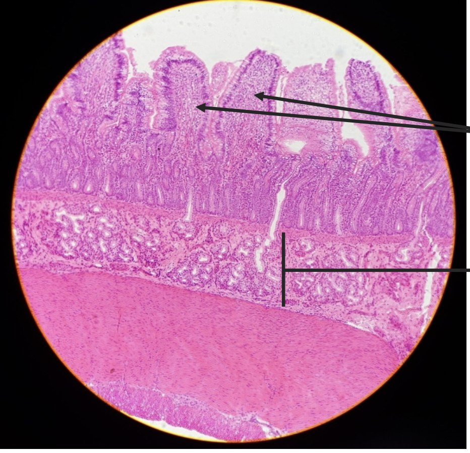 <p>what is this?&nbsp;</p>