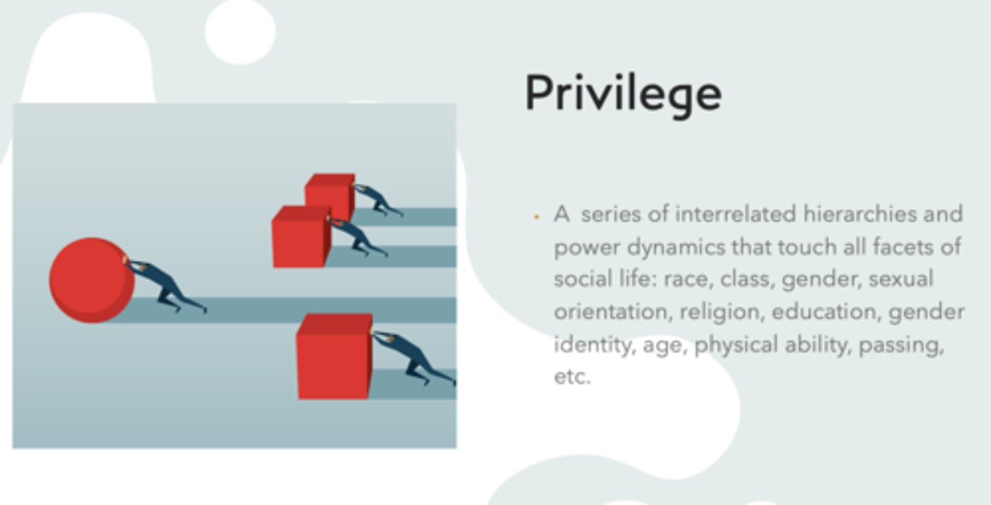 <p>Privilege</p>