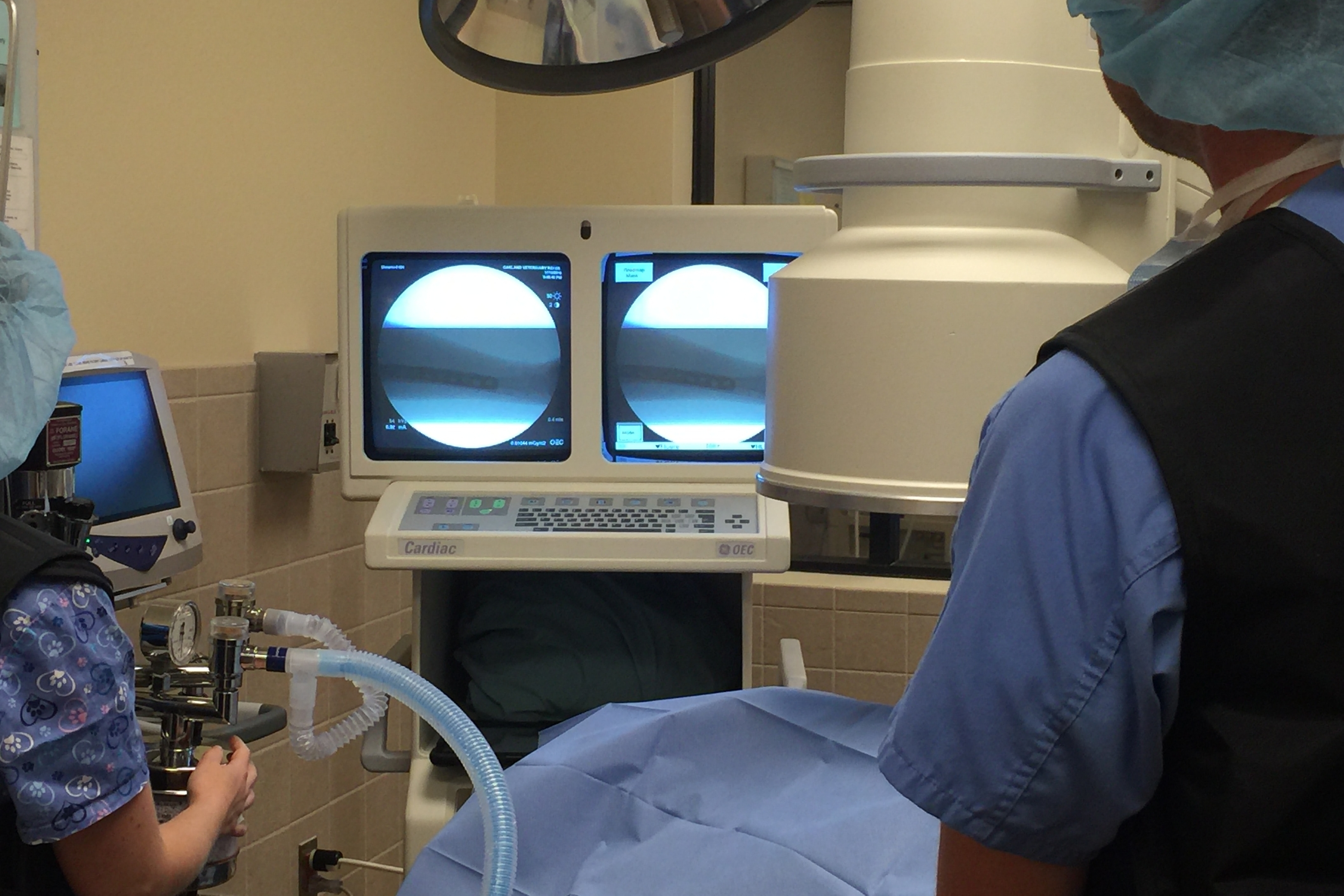 <p>fluorescent screen on which x-rays may be viewed</p>