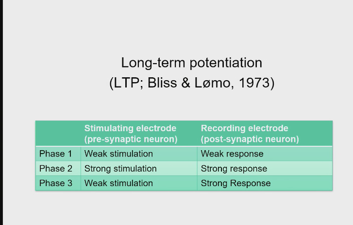 <p>Bliss and Lomo found that by </p>