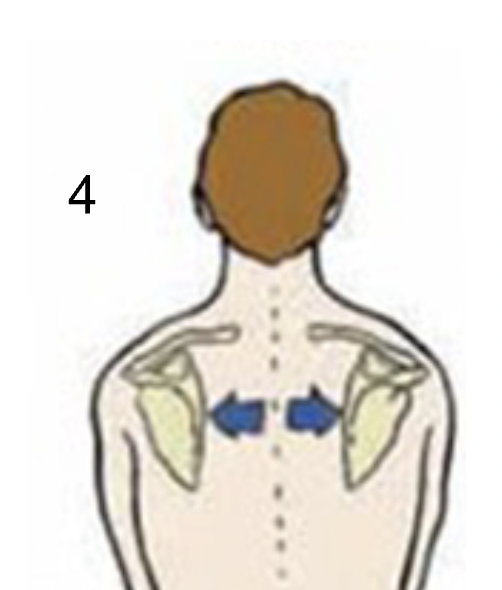 <p>Identify what type of position this is</p>