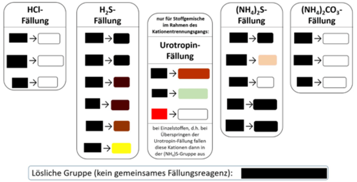 <p>Urotropin-Fällung, weißer NS</p>