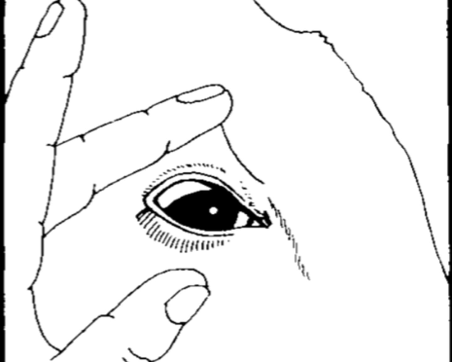 <p>What is the depth?</p>