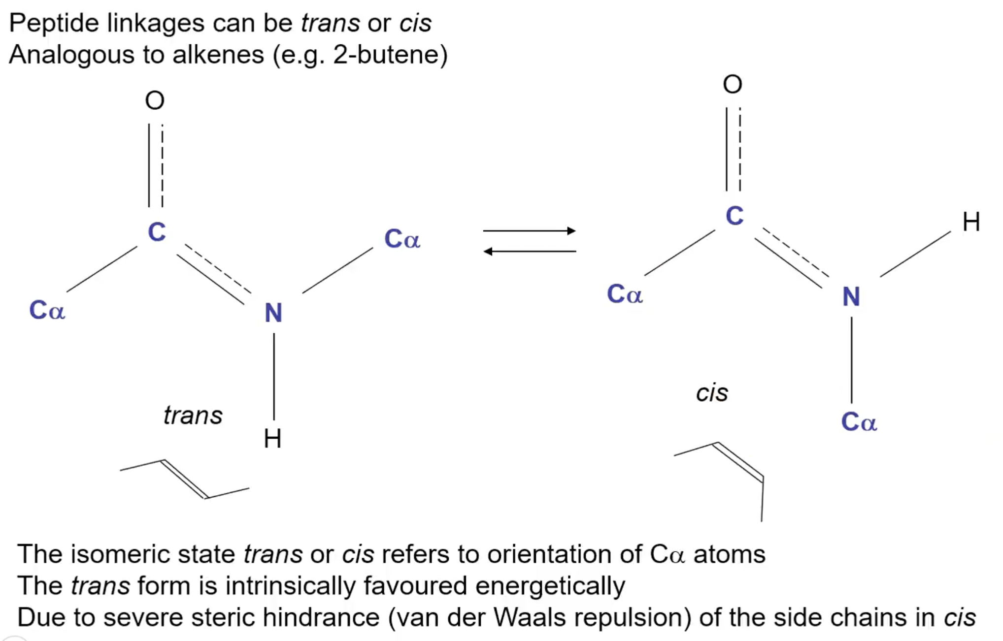 <p>Yes! Due to partial double bonds, can have cis and trans isomers</p>