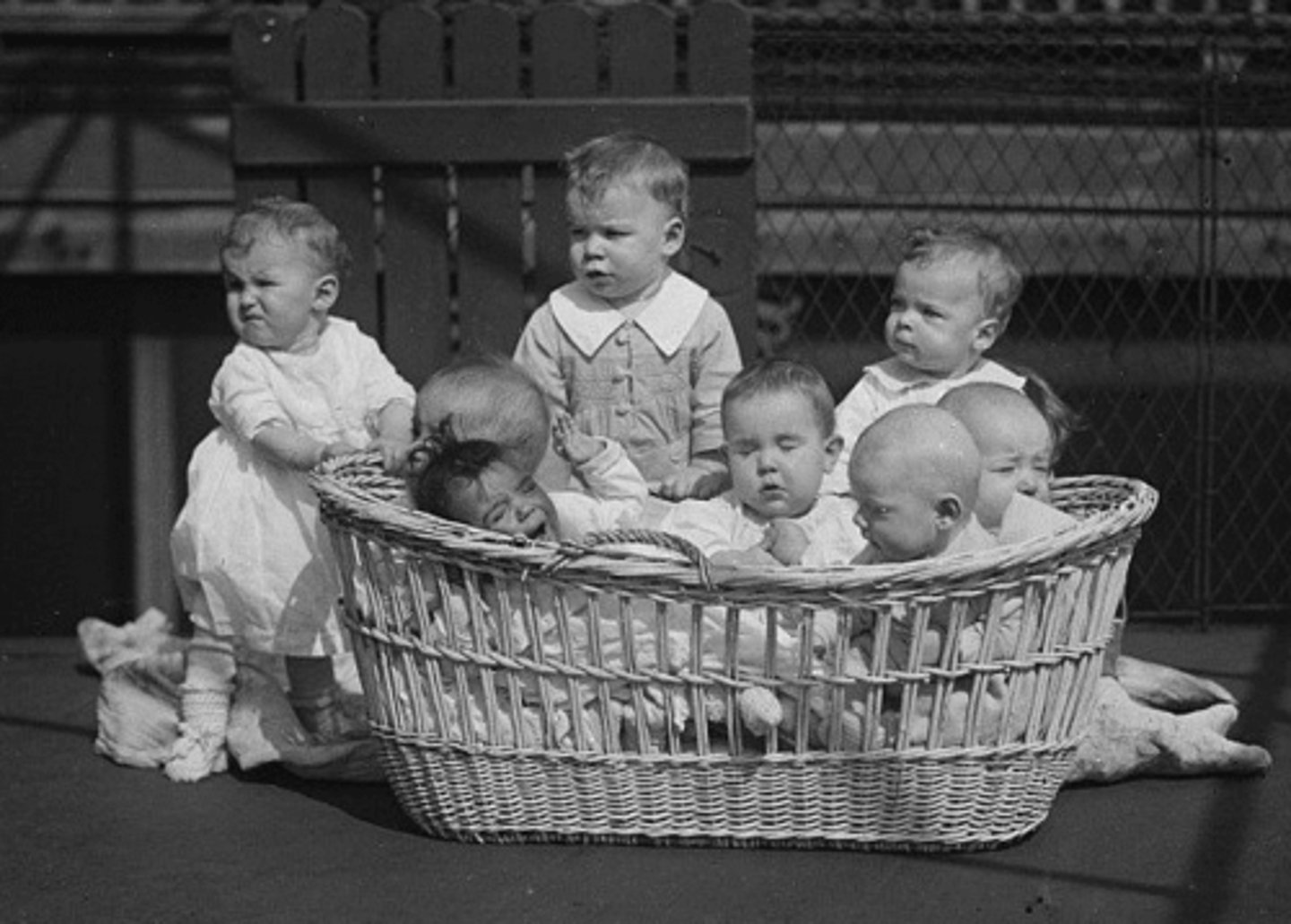 <p>Implemented to increase the Italian population from 40 million to 60 million by 1950. It offered loans to married couples and tax exemptions for men with children. It was largely unsuccessful at promoting new births.</p>
