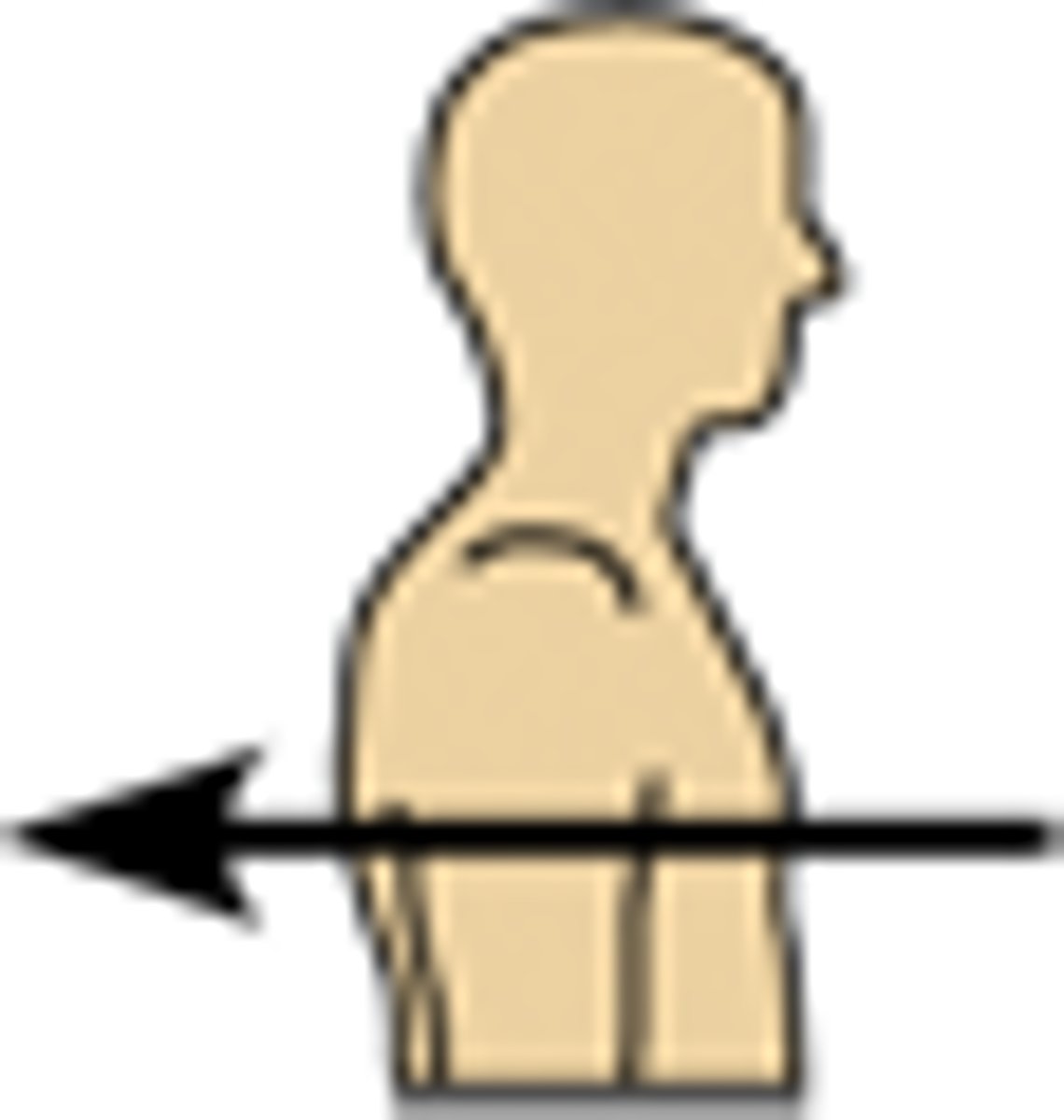 <p>toward or at the back of the body; behind</p>