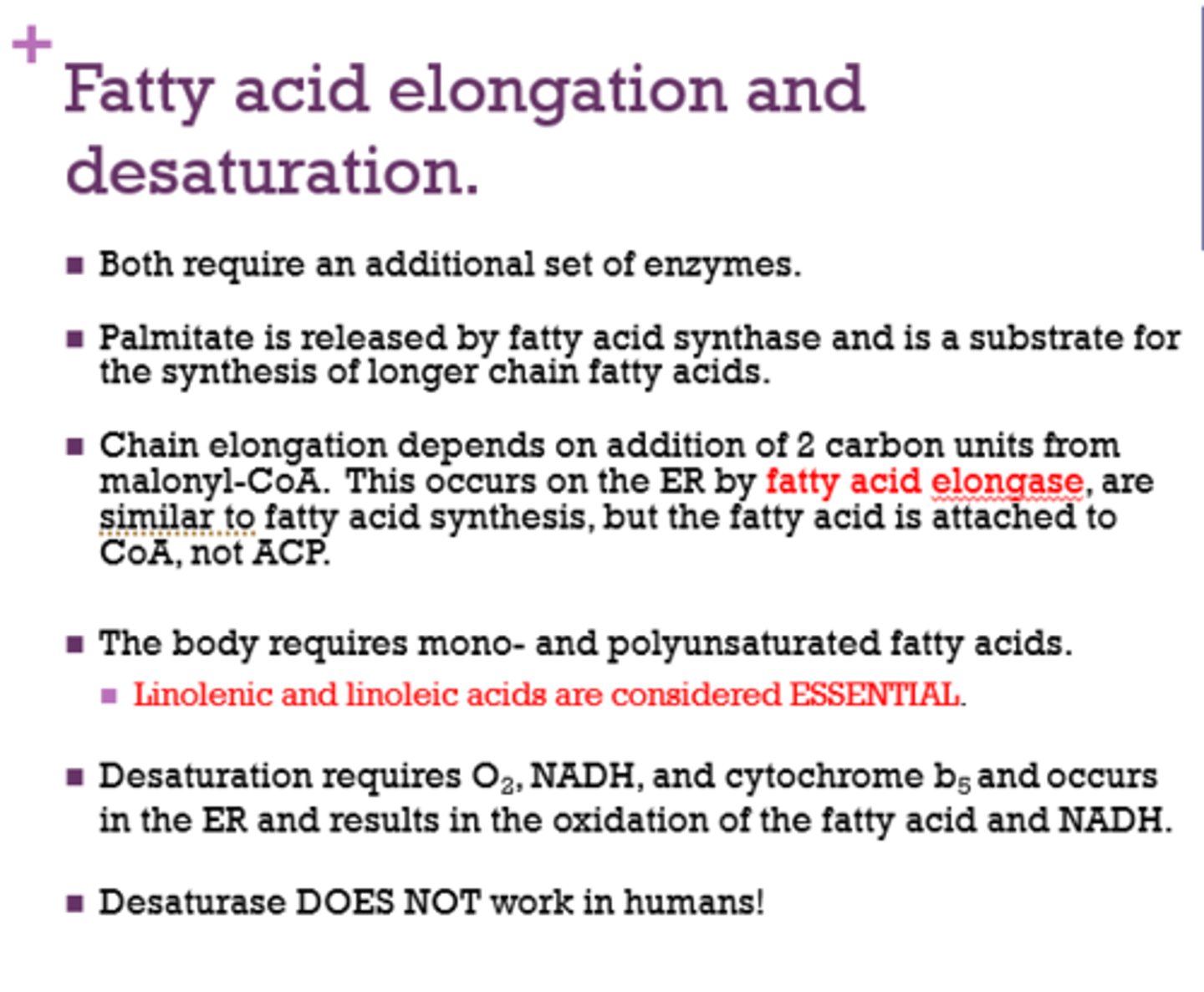 <p>palmitate</p>