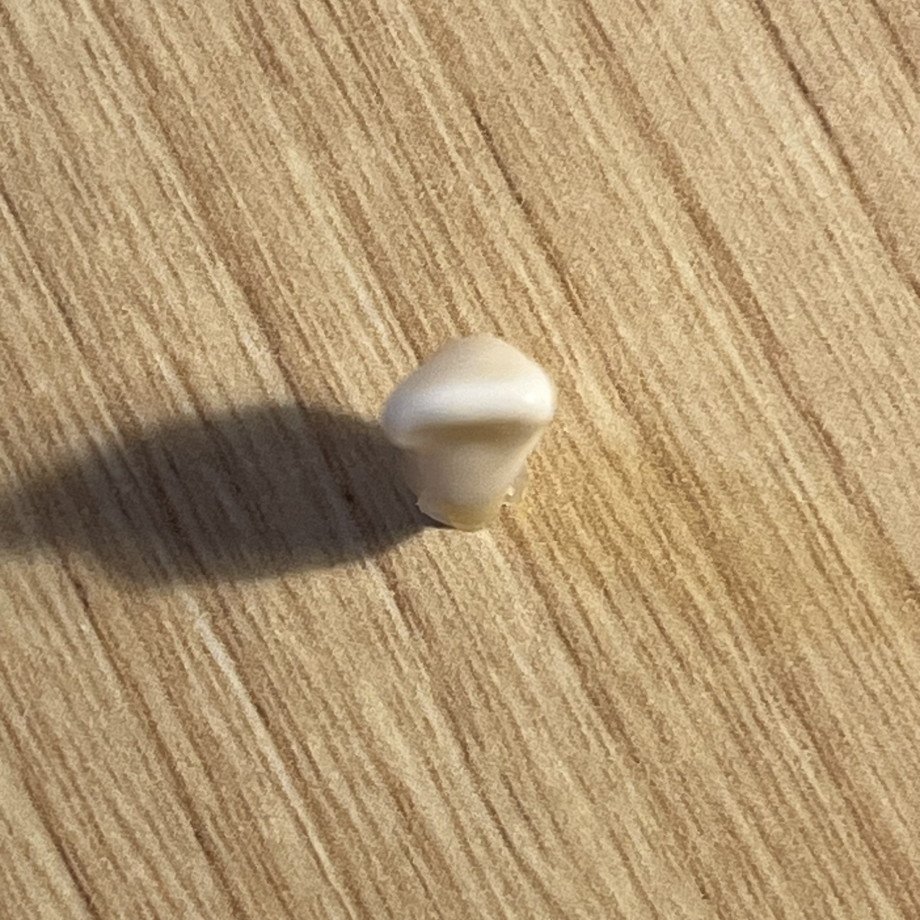 <p>What tooth is this (with view)?</p>