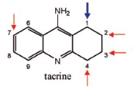 <p>Name Enzyme&nbsp;</p>