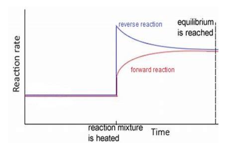 <p>when temp increases → reaction rates affected → however endothermic reaction increases more as it absorbs thermal energy → hence endo net rate &gt; exo net rate until equilibrium reached — image for this</p><p>unsure abt temp decrease? maybe temp decreases → reaction rates affected → however exothermic reaction increases more as produces thermal energy → exo net rate &gt; endo net rate until equilibrium reached</p>