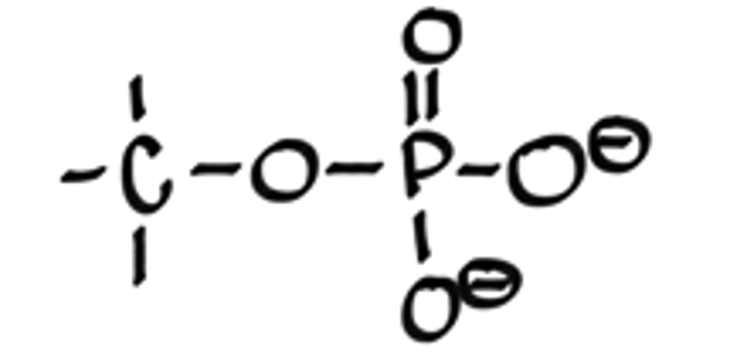 <p>-C-O-(P=O)-O-O</p>
