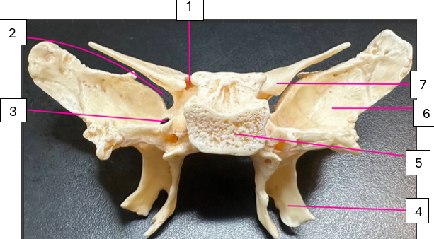 <p>2 + F</p>