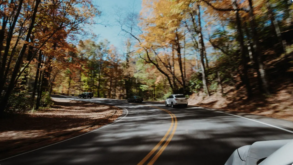 <p>Responsible Driving: When Approaching A Curve, What Factors Should You Consider To Determine A Safe Speed?</p>