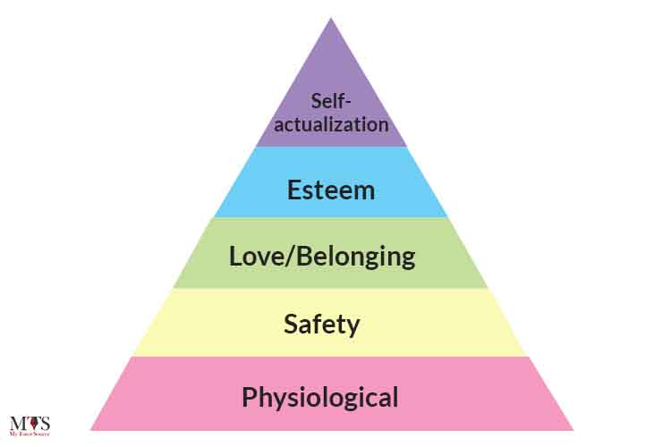 <ol><li><p>Psychological needs</p></li><li><p>Safety and security</p></li><li><p>Love and belonging</p></li><li><p>Self esteem </p></li><li><p>Self-actualization</p></li></ol><p></p>