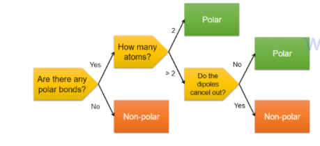 <p>Polarity in molecules:</p><ul><li><p>the overall dipole of a molecule depends on its shape and electron distribution</p></li><li><p>dipole moments are vector quantities</p></li><li><p>depending on the relative angles between the bonds the individual bond dipoles can either reinforce or cancel each other out</p></li></ul><p></p>