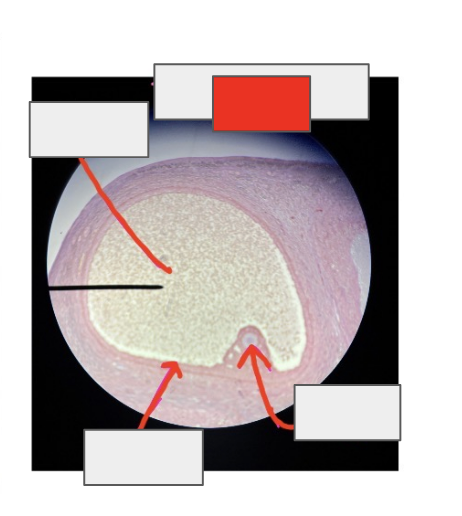 <p>what is this whole thing? </p>