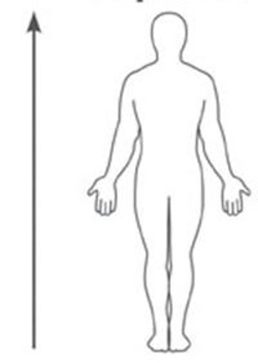 <p>Above, at a higher level, towards the head.</p>