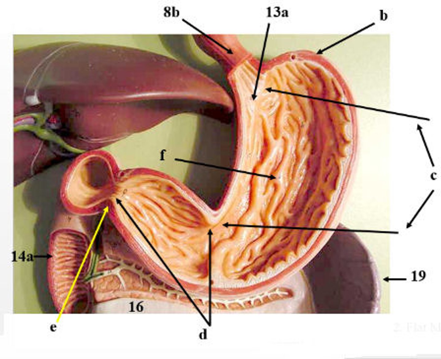 <p>What is 13f?</p>