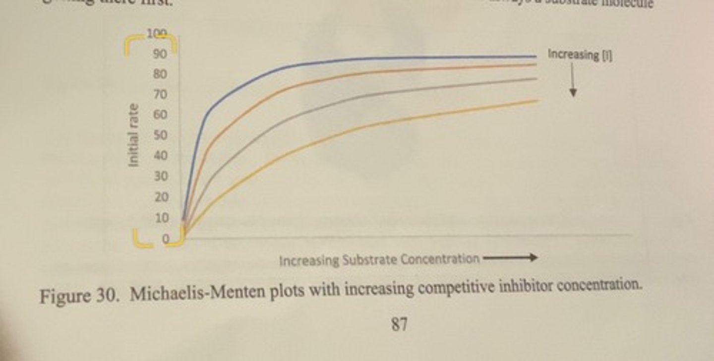 <p>-as you increase the concentration of the inhibitor, the rate of enzyme activity decreases for every substrate concentration</p><p>-at increasingly high enough substrate concentrations, you will reach the maximum rate exhibited by the enzyme when no inhibitor is present (the blue line). this happens because at high concentrations of substrate, the probability of an inhibitor molecule finding its way to the active site approaches zero because there is always a substrate molecule getting there first.</p>