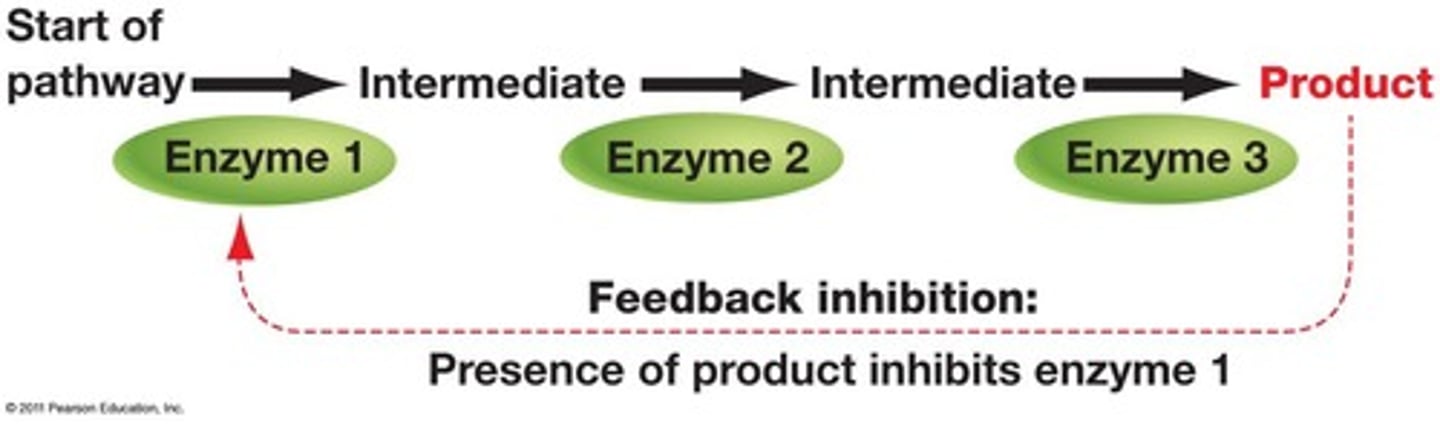 <p>The end product of a metabolic pathway shuts down the pathway.</p>