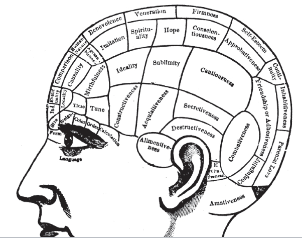 <p>a popular 19th century pseudoscience claiming that bumps and contours on a person’s skull revealed their character, personality, and mental faculties, championed by Franz J. Gall</p>