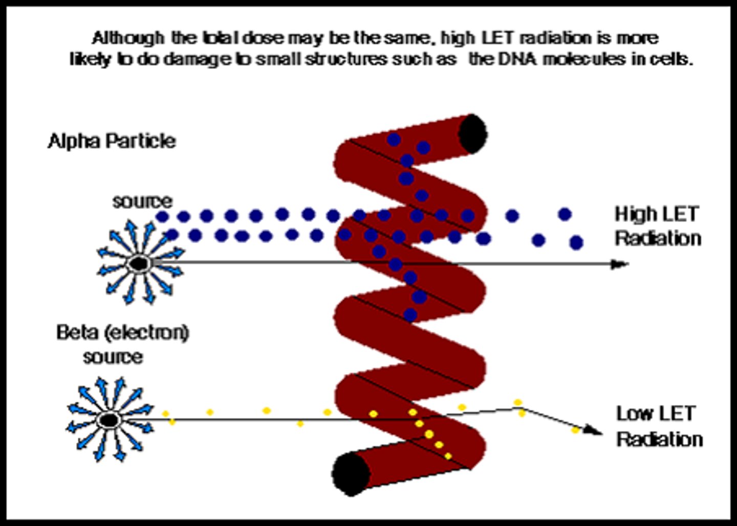 <p>The ability of radiation with different LETs to produce the same biologic effect under the same conditions.</p>