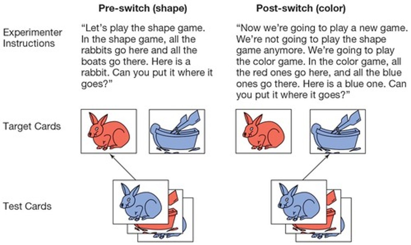 <p>It assesses children's ability to shift their thinking and apply rules, reflecting their executive functioning.</p>