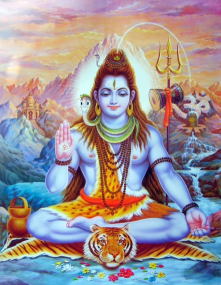 term image