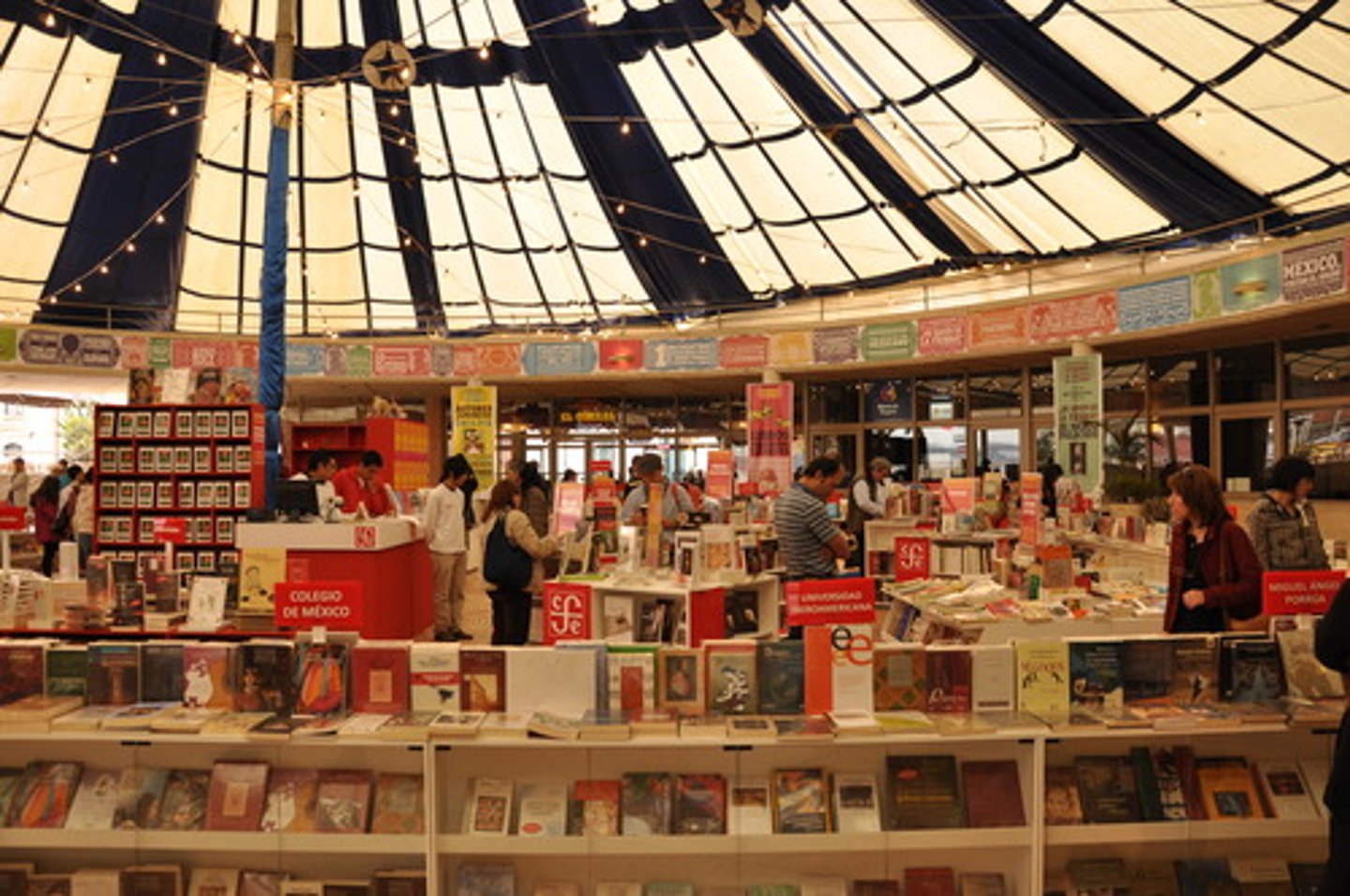 <p>the bookstore</p>