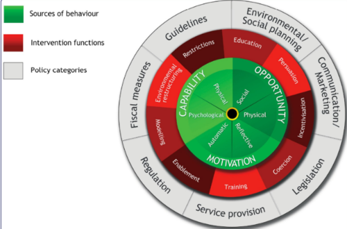 <p>Michie (2011) defines 6 main groups of behaviour; determinants tell us whether a person adopts a certain behaviour and the intervention fits to the relevant determinants</p>