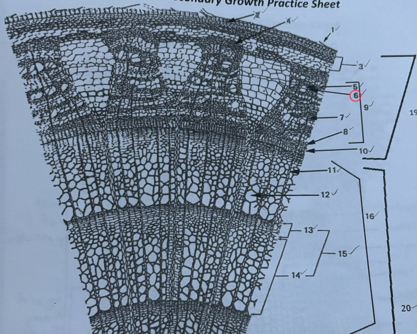 knowt flashcard image
