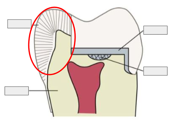 <p>What is this?</p>