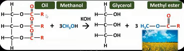 <ul><li><p></p></li></ul><p></p>