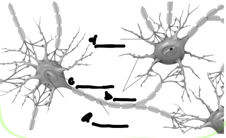 <p><span style="color: yellow">Label all the parts</span></p>
