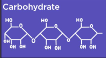 <p>Polysaccharides (3 or more monosaccharides put together)</p>
