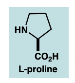 <p>L-proline at C terminus (with free COOH) </p>