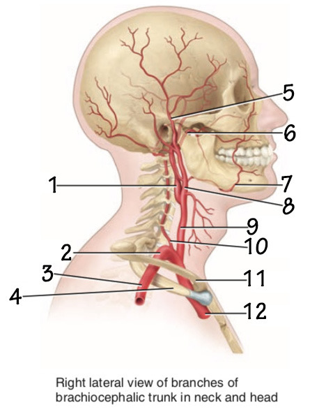 <p>2</p>