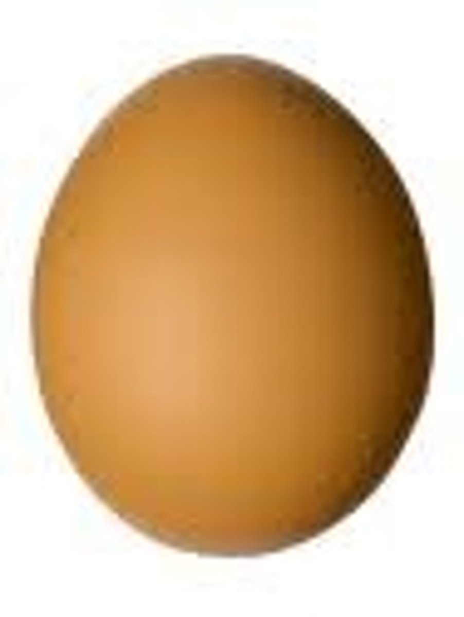 <p>egg</p>