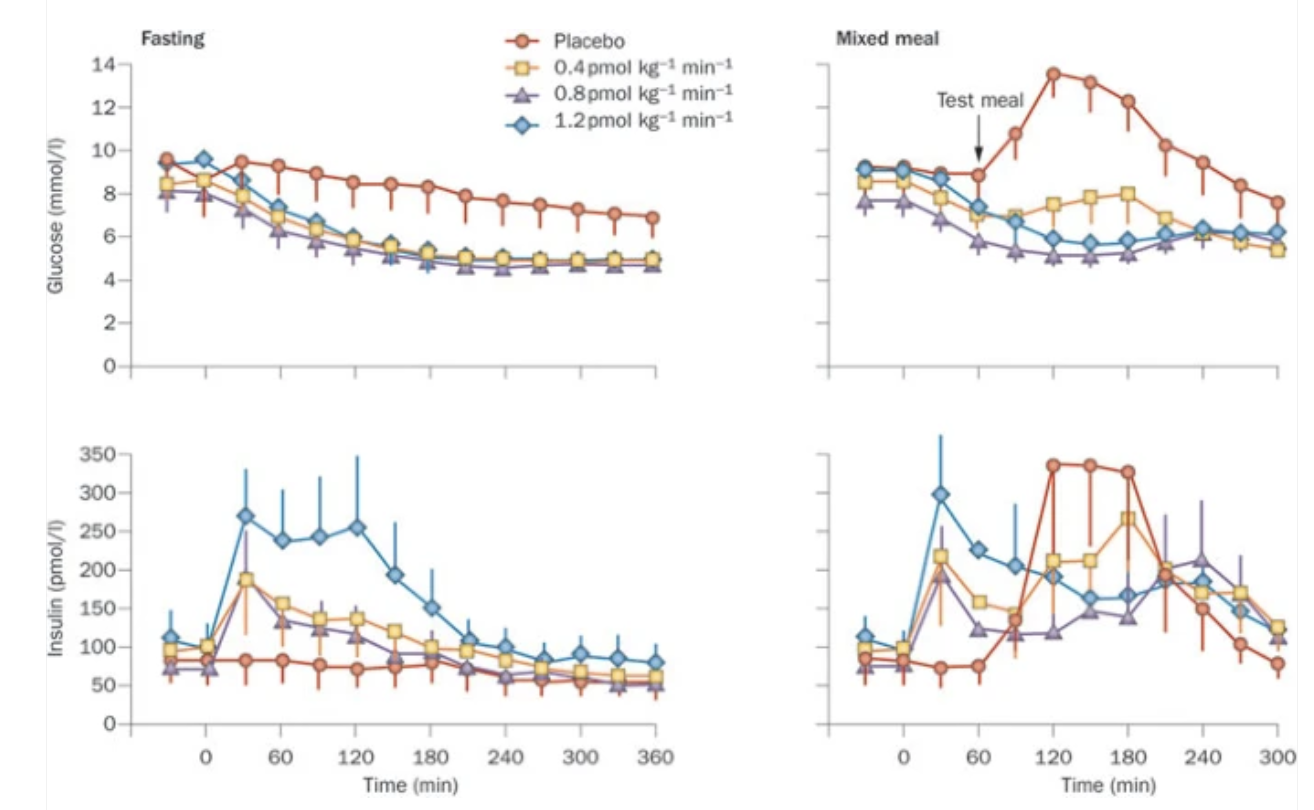 <p><span><span>The figures above are from Meier (2012) of glucose or insulin over time under fasting or fed conditions. Patients in the trial were given 0.4 pmol, 0.8 pmol, or 1.2 pmol of GLP-1 or a placebo (0 pmol of GLP-1). Which of the following best explains why administration of GLP-1 in these patients resulted in lower blood glucose levels while fasting?</span></span></p><p><span><span>A. GLP-1 inhibited insulin production.</span></span></p><p><span><span>B. GLP-1 inhibited insulin production.</span></span></p><p><span><span>C. GLP-1 activated glucose transporters in the liver.</span></span></p><p><span><span>D. GLP-1 stimulated insulin production.</span></span></p>