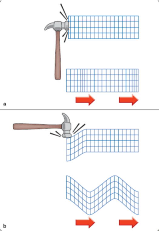 <p>through seismic waves (<span><span>a mechanical vibration that travels through Earth; usually caused by an earthquake)</span></span></p><ul><li><p><span><span>pressure (P) waves: a mechanical wave of compression &amp; rarefaction that travels through Earth’s interior (as a p wave passes, particles of matter vibrate back &amp; forth parallel to the direction of wave travel)</span></span></p><ul><li><p>can move through liquid</p></li></ul></li><li><p><span><span>shear (S) waves: a mechanical wave that travels through Earth’s interior by the vibration of particles perpendicular to the direction of wave travel (distorts material but does not compress it)</span></span></p><ul><li><p>can move along the surface of a liquid but not through it</p></li></ul></li></ul><p><span><span>waves reflect boundaries between layers of different density, or may be refracted (scientists use arrival times of reflected &amp; refracted seismic waves from distant earthquakes to construct a model of Earth’s interior)</span></span></p>