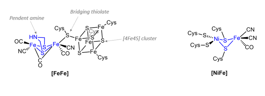 <p>What are these part of?</p>