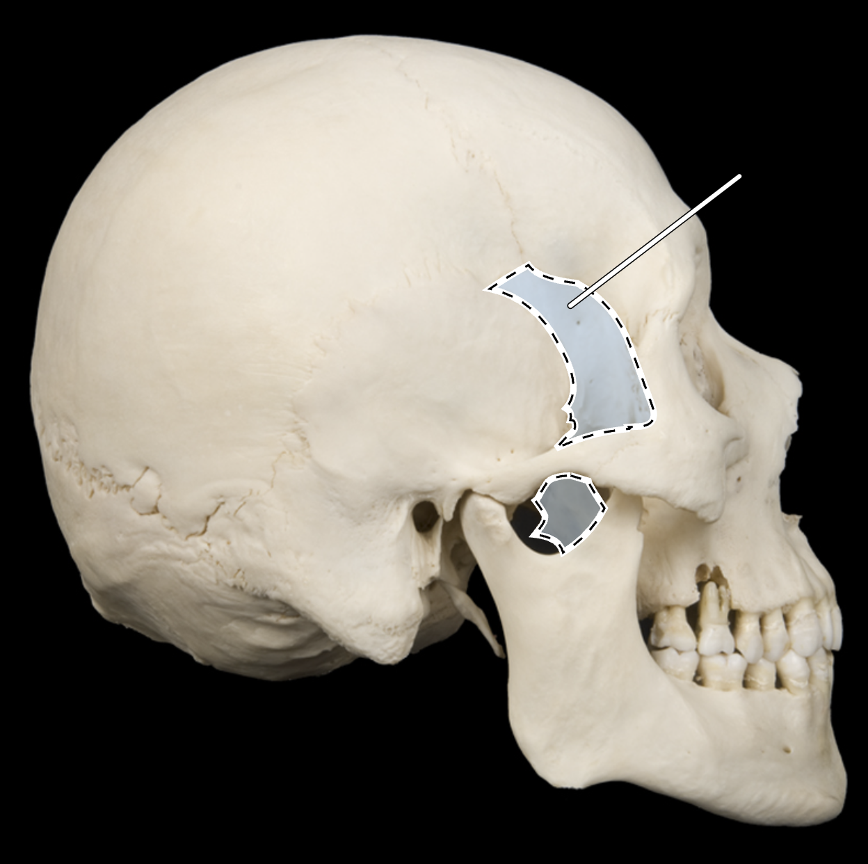 <p>?</p>