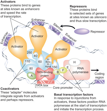 <p>what is this image showing? </p>