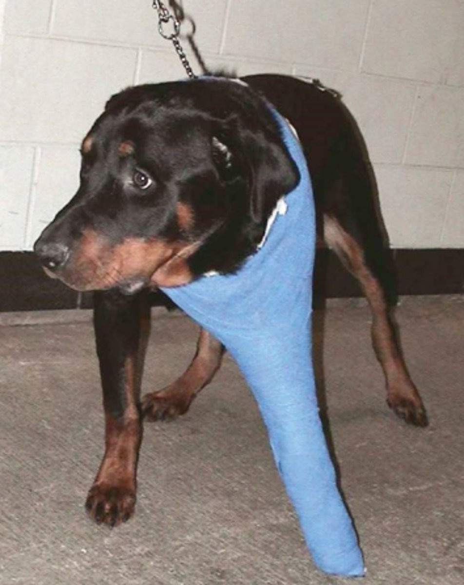 <p>This is an example of</p>