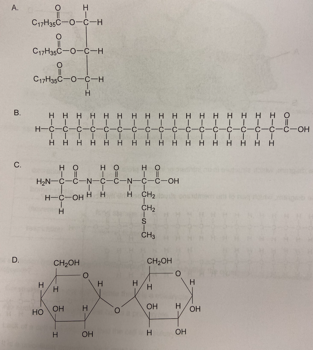 <p>Which molecule could be hydrolyzed into amino acids?</p>